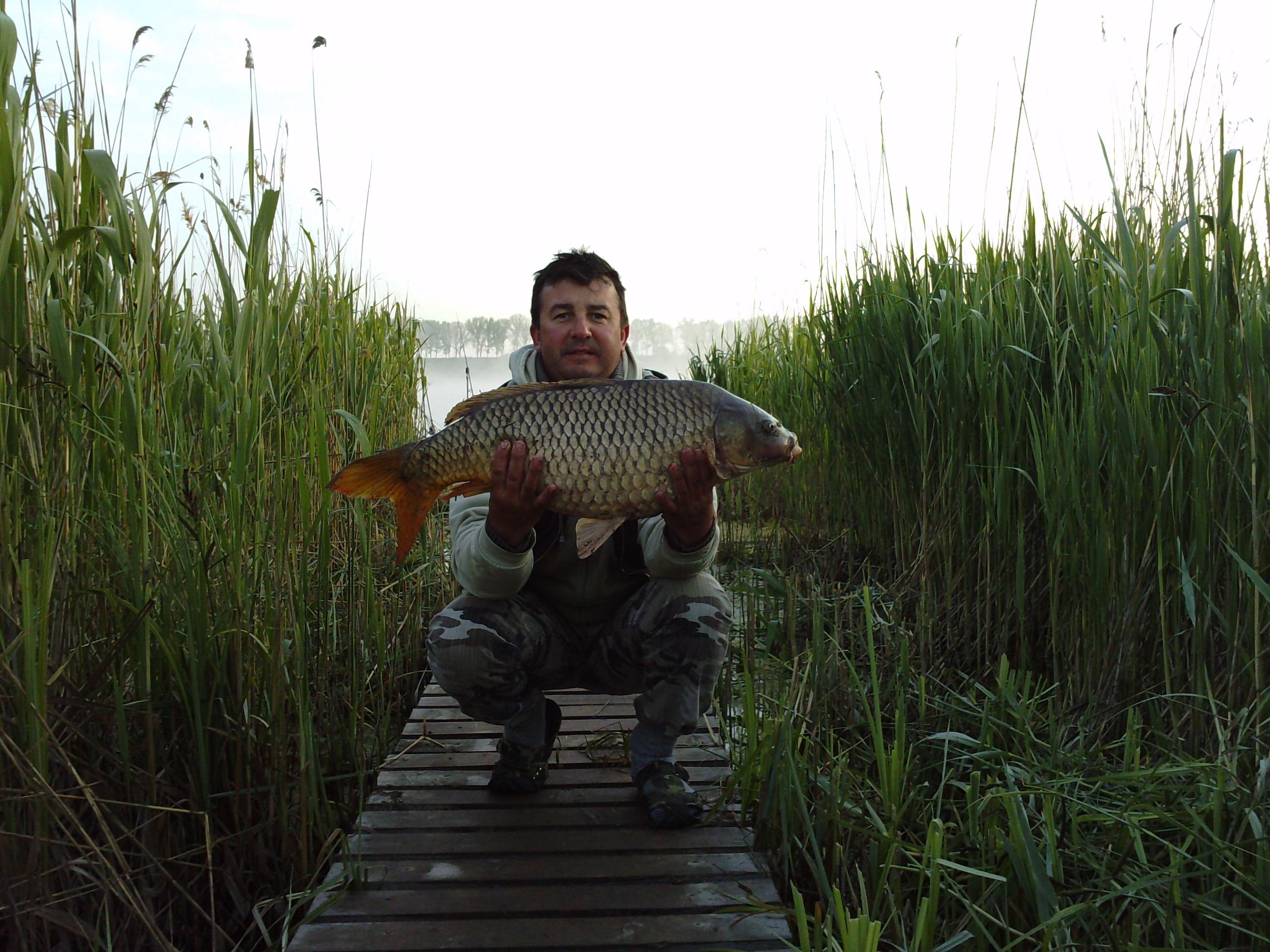 balta topraichioi - P060510_06.260002.JPG